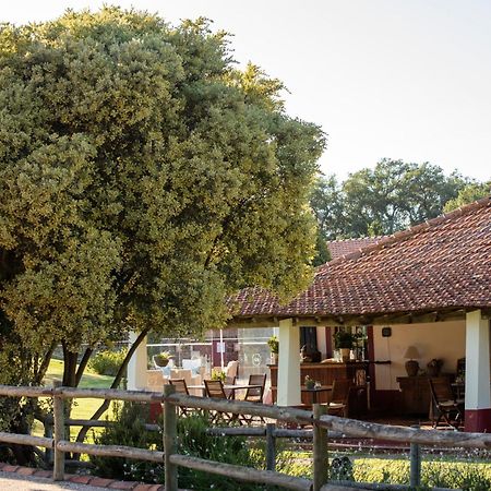 Herdade Das Barradas Da Serra Grandola Ngoại thất bức ảnh