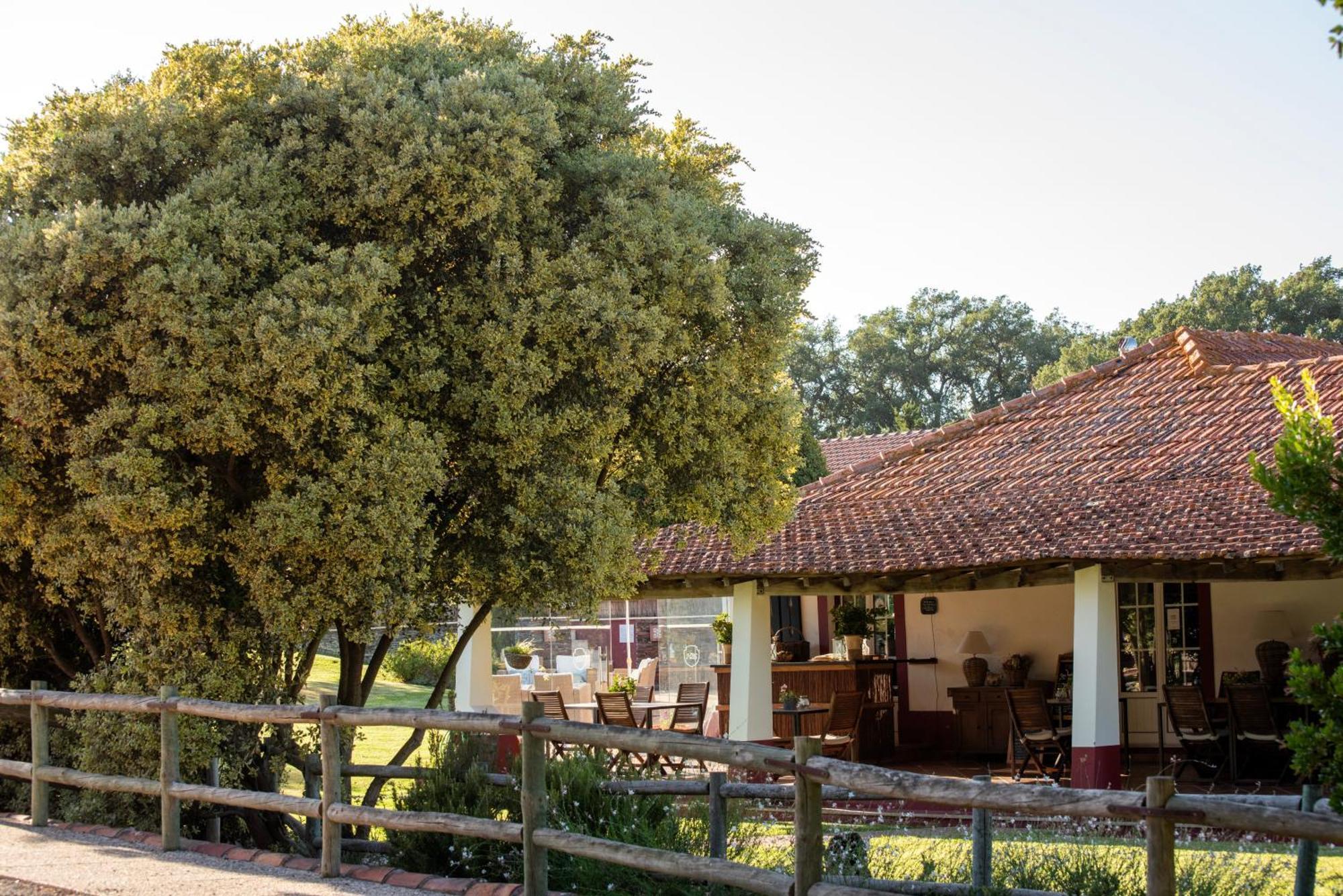 Herdade Das Barradas Da Serra Grandola Ngoại thất bức ảnh