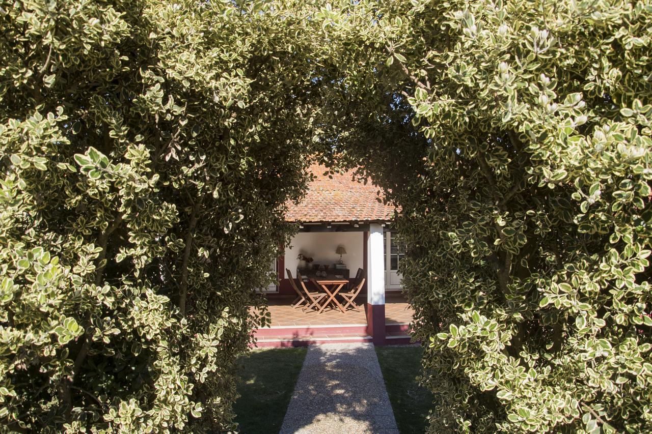 Herdade Das Barradas Da Serra Grandola Ngoại thất bức ảnh