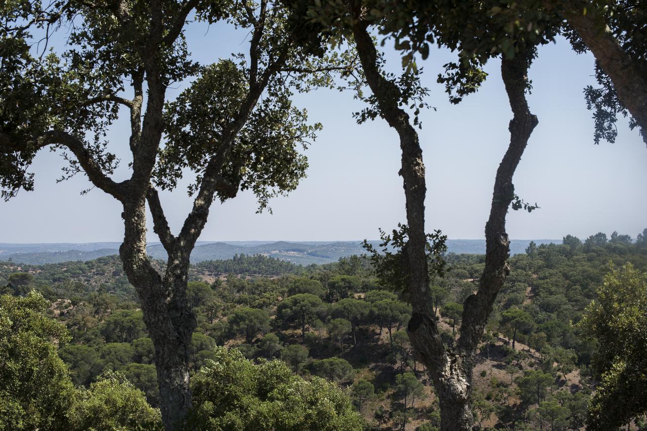 Herdade Das Barradas Da Serra Grandola Ngoại thất bức ảnh
